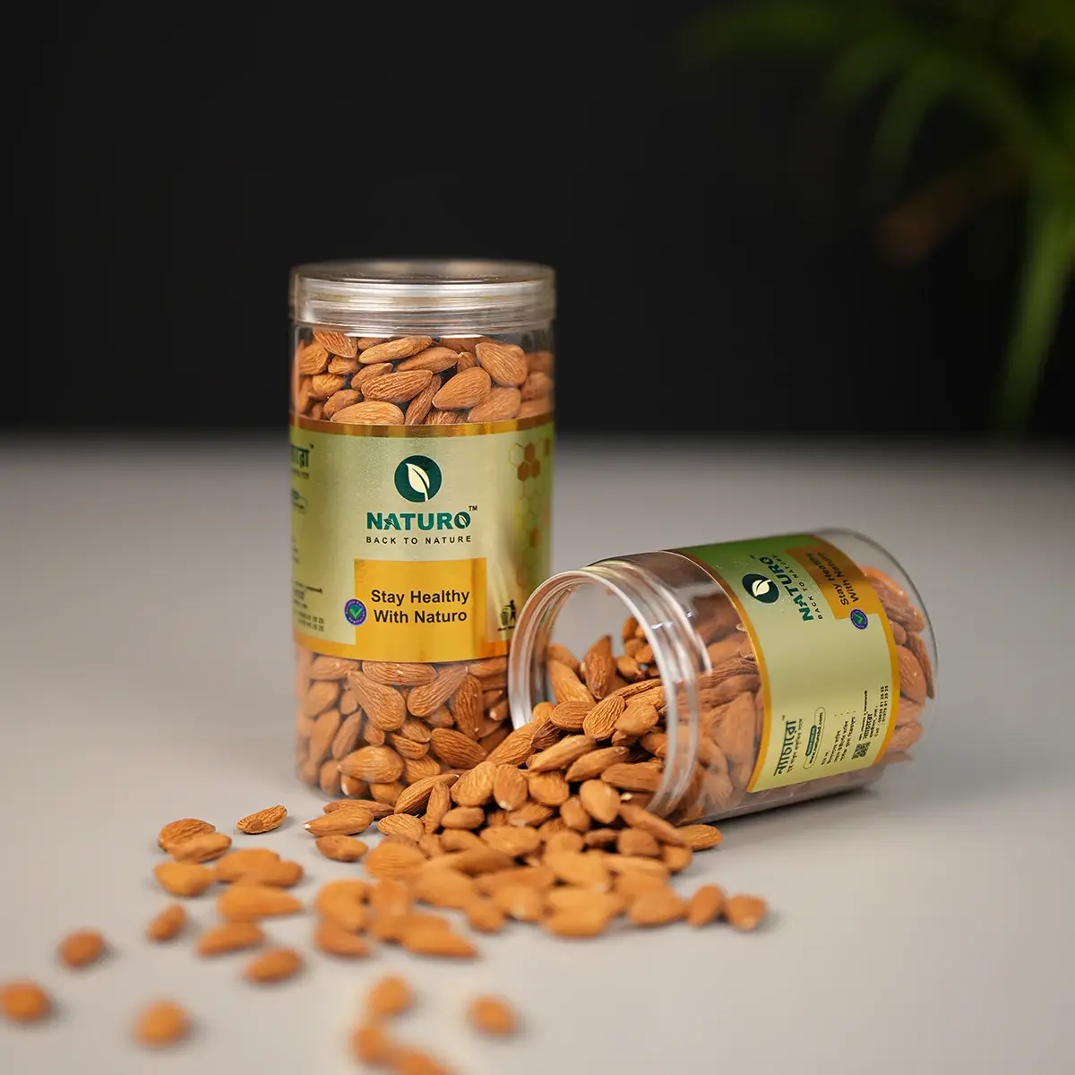 কাঠ বাদাম | Almond